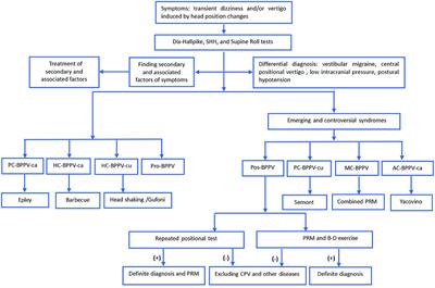 Clinical Characteristics of Patients With Benign Paroxysmal Positional Vertigo Diagnosed Based on the Diagnostic Criteria of the Bárány Society